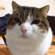 Captain Arctic's profile