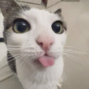 ghbdtn rc.if's profile