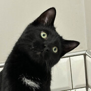 crushmuppy's profile