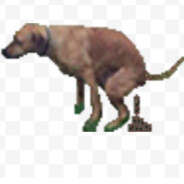 poopdog1001's profile