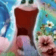 Senderlol 🥚's profile