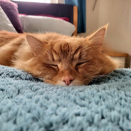 felonious gru's profile