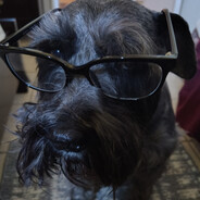 camelbeatsaber's profile