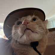 Rizz_Kitt3n's profile