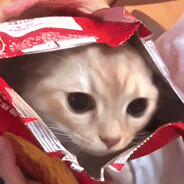 ACC | Cosmo's profile