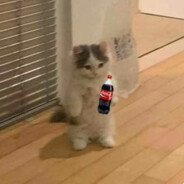 raulfoggygoggles's profile