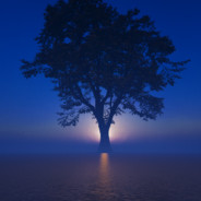 BurningFlame's profile