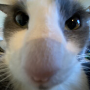 Matteyoooo's profile