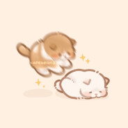 beaudontknow's profile