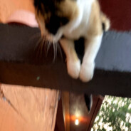 McChilington's profile