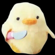 tomer.miaw's profile