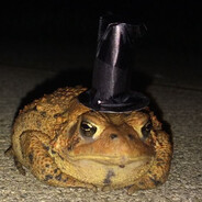 Blabbering donkey scroller's profile