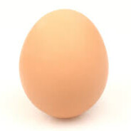 egg egg egg egg egg egg egg egg's profile