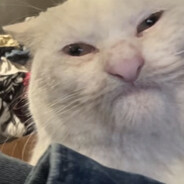 earblind69's profile