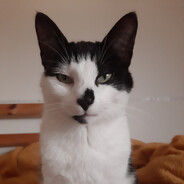 Mangled mom's profile